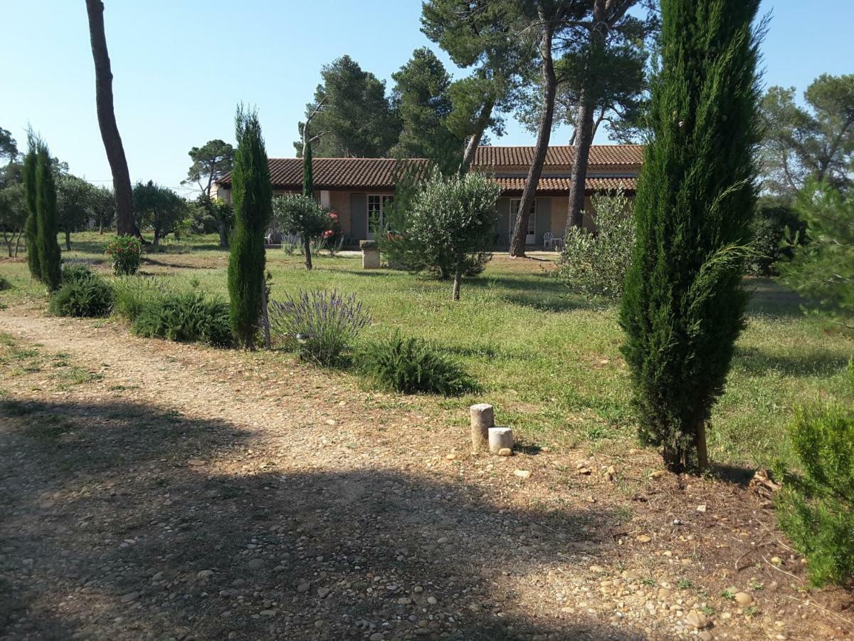Clair De Lune Saint-Remy-de-Provence Bagian luar foto